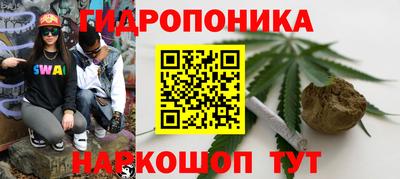 СК Будённовск