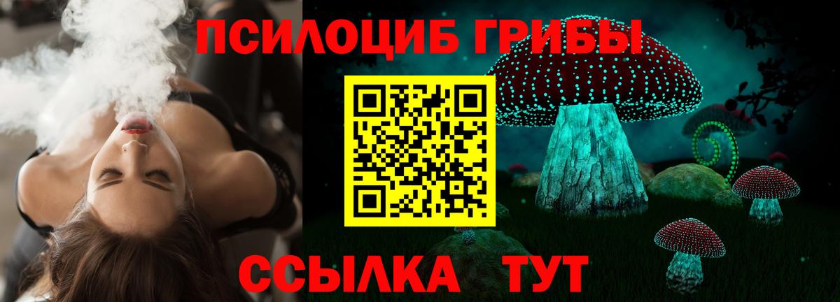 купить наркотик  Вход с VPN  Армавир  Псилоцибиновые грибы мухоморы 